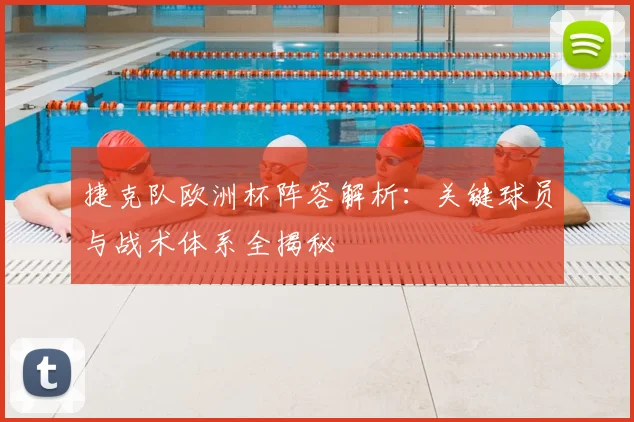 捷克队欧洲杯阵容解析：关键球员与战术体系全揭秘