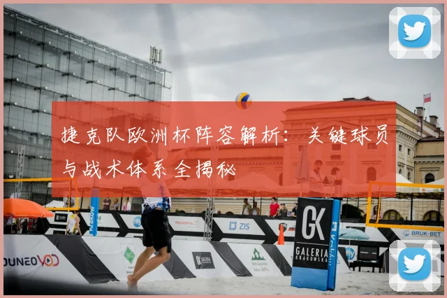 捷克队欧洲杯阵容解析：关键球员与战术体系全揭秘